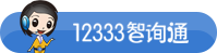 12333智询通